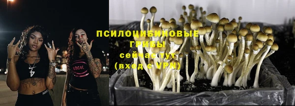 бутират Верея