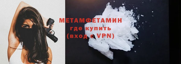 прущие грибы Белокуриха