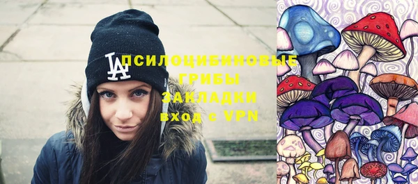бошки Верхний Тагил