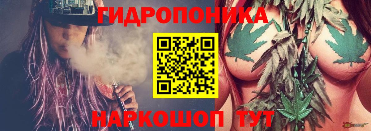 Канабис Bruce Banner  Вход с VPN  Конопля сатива  МАРИХУАНА ГИДРОПОН  Городец 